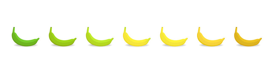 Banana ripeness stages chart. Colour gradation set plant. Ripening plantains. Musa paradisiaca. From green to yellow and brown. Animation period progression. © Ilia