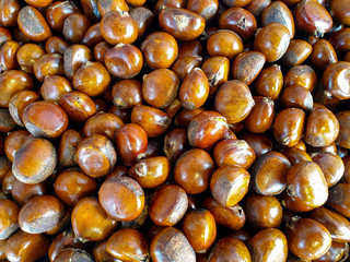 Closeup and crop Japanese roasted chestnuts with natural light background.