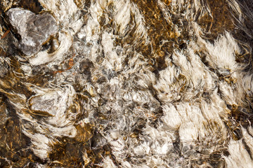 Background and textured of albumen in clear natural hot spring watercourse caused by the cracking of eggs that tourists bring to boil. It's look to white hair and art of nature.