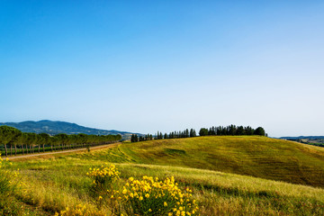 Beautiful landscape, tourist visit in in Tuscany, Italy.
