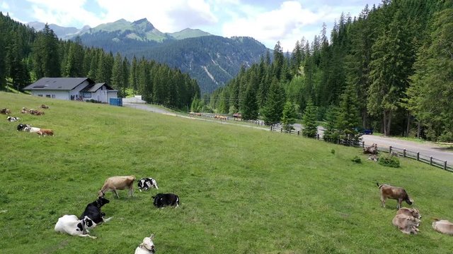 Little village Rinnen near Imst in Tirol Austria, Europe