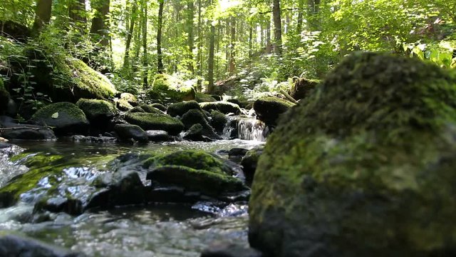Nice small brook in forest with trees and big stone, Czech republic