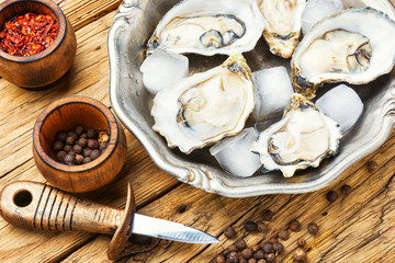 Raw opened oyster