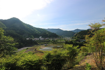和歌山　あらぎ島