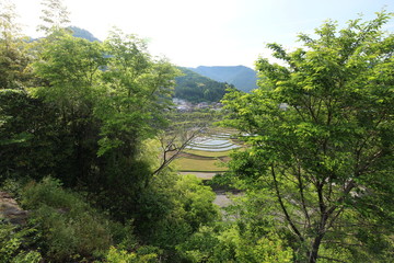 和歌山　あらぎ島