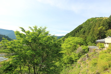 和歌山　あらぎ島