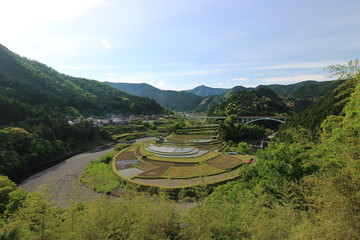 和歌山　あらぎ島