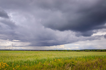 Fototapeta na wymiar Summer field landscape. Russian open spaces. Before the storm. Dark rainy sky. Background Russian field before the rain.