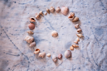 collection of treasures of the sea