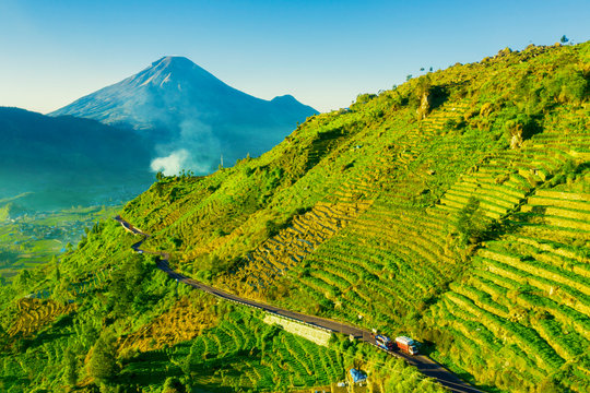 Road With Green Farmland In Dieng Plateau