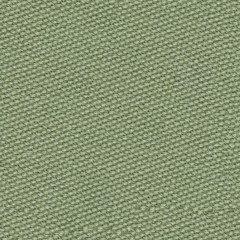 Ordinary tissue background in new tone.