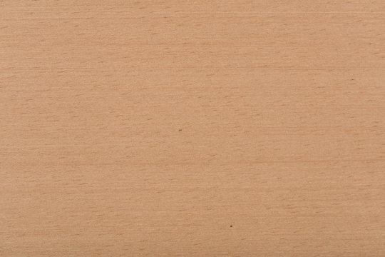 Natural beech veneer background in warm beige color. High quality texture in extremely high resolution. 50 megapixels photo.