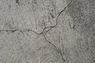  Crack on a concrete surface in Los Angeles for interior design.