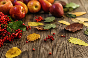 Autumn background with seasonal autumn nature berries, apples and colorful leaves on the wooden background. Autumn concept.
