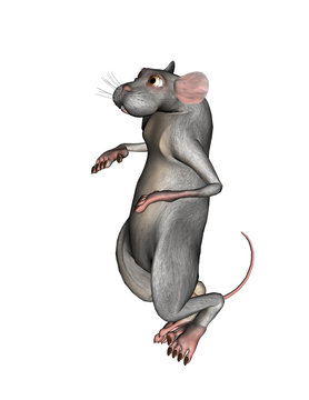 3D grey rat
