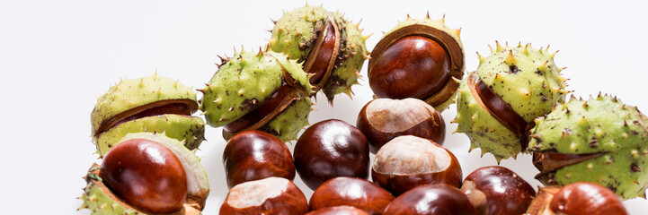 Chestnuts isolated on white, fruits chestnut, Aesculus hippocastanum. Panoramic image