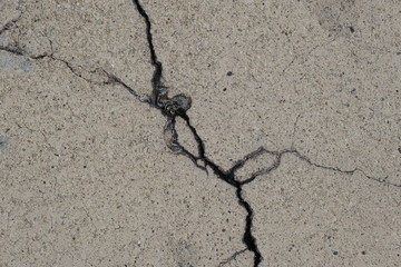  Crack on a concrete surface in Los Angeles for interior design.
