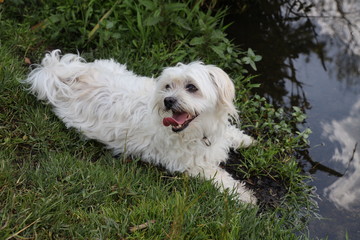 Marcella am Ufer