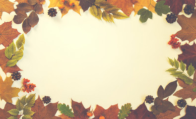 Naklejka na ściany i meble Frame made of autumn leaves, acorn, pine cones on pastel background. Autumn, fall concept. Flat lay, top view, copy space.