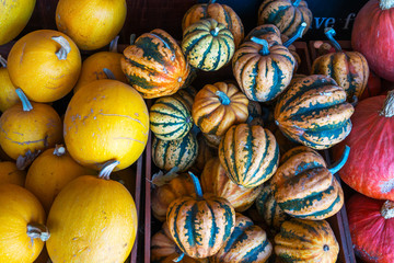 A lot of pumpkin at outdoor farmers market.
