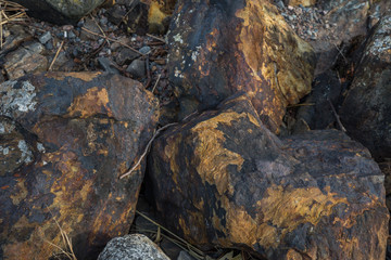 Golen yellow and black stones autumn