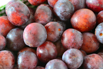 Natural red mirabelle plums from the garden