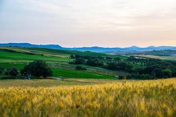 View of a autumn day in the Italian rural landscape. Unique sundown tuscany landscape in fall time. Wave hills, cypresses trees and cloudly sky. Tuscany, Italy, Europe