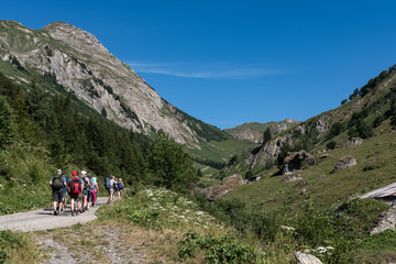 Obraz premium Paysage des montages dans les alpes en été