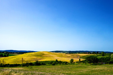 Fototapeta premium Golden autumn in Tuscany. Italy. Tuscany landscape. Europa. Summer, holiday, traveling concept.