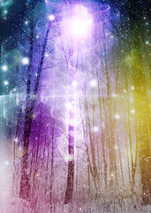 Winter forest space design