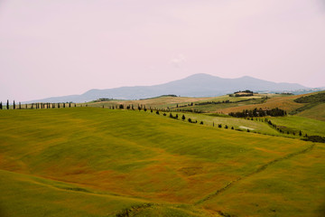 Tuscany, Italy. Tuscan hills during harvest period. Unique landscape with rolling hills. Travel. Beautiful destination. Vacation trip.