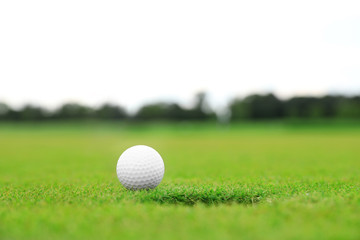 Golf ball near hole on green course