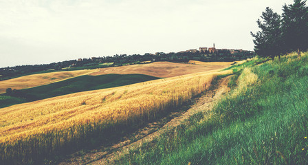 Beautiful autumn in Tuscany, Italy. Rural landscape. Countryside hills and meadows, green and yellow fields and sky. Beautiful world. Vintage tone filter effect with noise and grain.