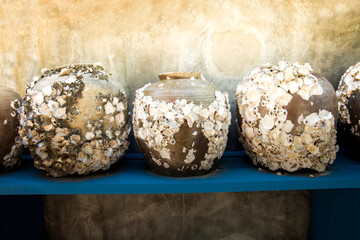 Fossil shells