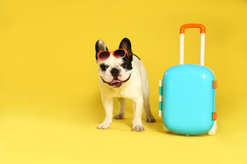 French bulldog with sunglasses and little suitcase on yellow background. Space for text