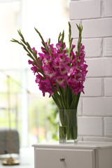 Vase with beautiful pink gladiolus flowers on drawer chest in room