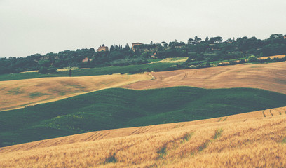 Fototapeta na wymiar Beautiful autumn in Tuscany, Italy. Rural landscape. Countryside hills and meadows, green and yellow fields and sky. Eco tourism and travel concept. Vintage tone filter effect with noise and grain.