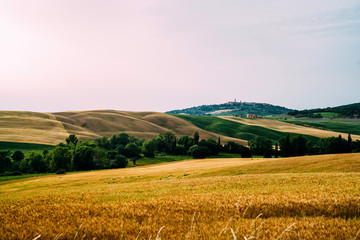 Tuscany, rural sunset landscape. Countryside farm, cypresses trees, fields, sun light and cloud. Italy. Agro tour of Europe. Holiday outdoor vacation trip.