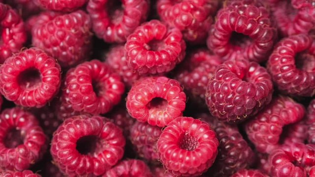 Close Up Rotation Loopable Berry. Fresh, Juicy Raspberry Background, Ripe. Macro Red Raspberries Fruit. Fresh Raspberry Fruits As Food Dackground. Healthy Food Organic Nutrition.