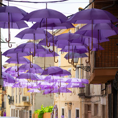 Purple umbrellas hanged in main street in Brihuega, Guadalajara.