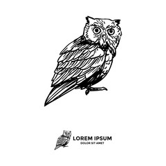 Serious owl perch and watching around