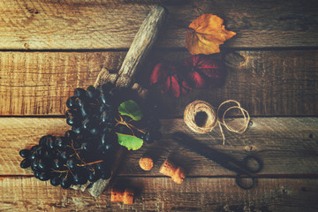 Grapes harvest. Vintage wooden board with freshly harvested black grapes in autumn harvest. Ripe grapes in fall. Selective focus. Top view. Copy space.