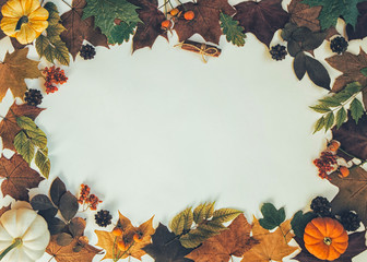 Naklejka na ściany i meble Autumn composition. Frame made of fall leaves, pumkin, apples and spice on pastel background. Autumn, fall concept. Flat lay, top view, copy space.