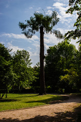 Architecture of Lviv. Lviv is the cultural center of Ukraine. Television and town hall in the center. Tourist attractions. .