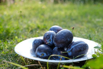fresh plums on a plate 