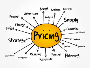 Pricing mind map flowchart, business concept for presentations and reports
