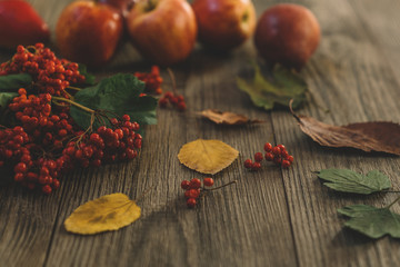 Harvest of red apples, autumn leaves and red berries on old boards. Autumn background.
