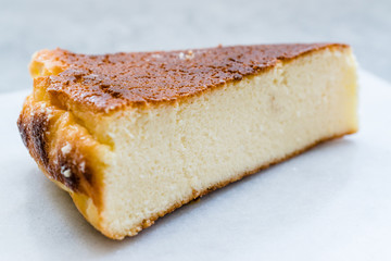 Ricotta Cheesecake Slice Close Up Macro View.