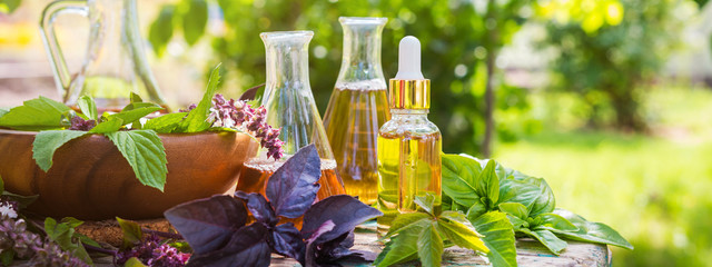 Oil for skin care, massage from natural ingredients, herbs, mint in glass jars and test tubes on a green background in the garden on the nature, natural cosmetics