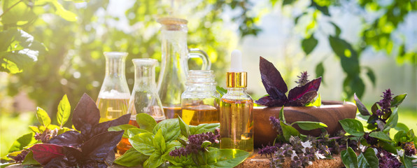 Oil for skin care, massage from natural ingredients, herbs, mint in glass jars and test tubes on a...